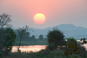 Best Time to Visit Ranthambore National Park — Month-by-Month Guide
