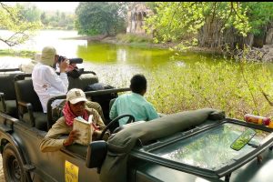 Wildlife Photography Guide — Camera Settings & Tips for Ranthambore Safari